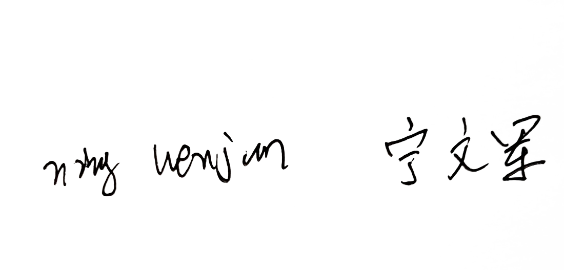 Ning Wenjun 宁文军 handwritten signature